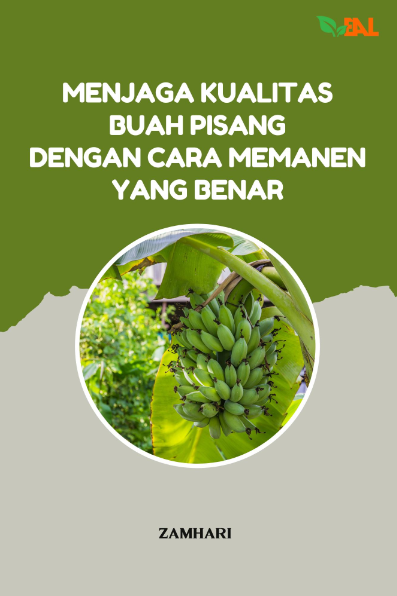 Menjaga Kualitas Buah Pisang dengan Cara Memanen yang Benar